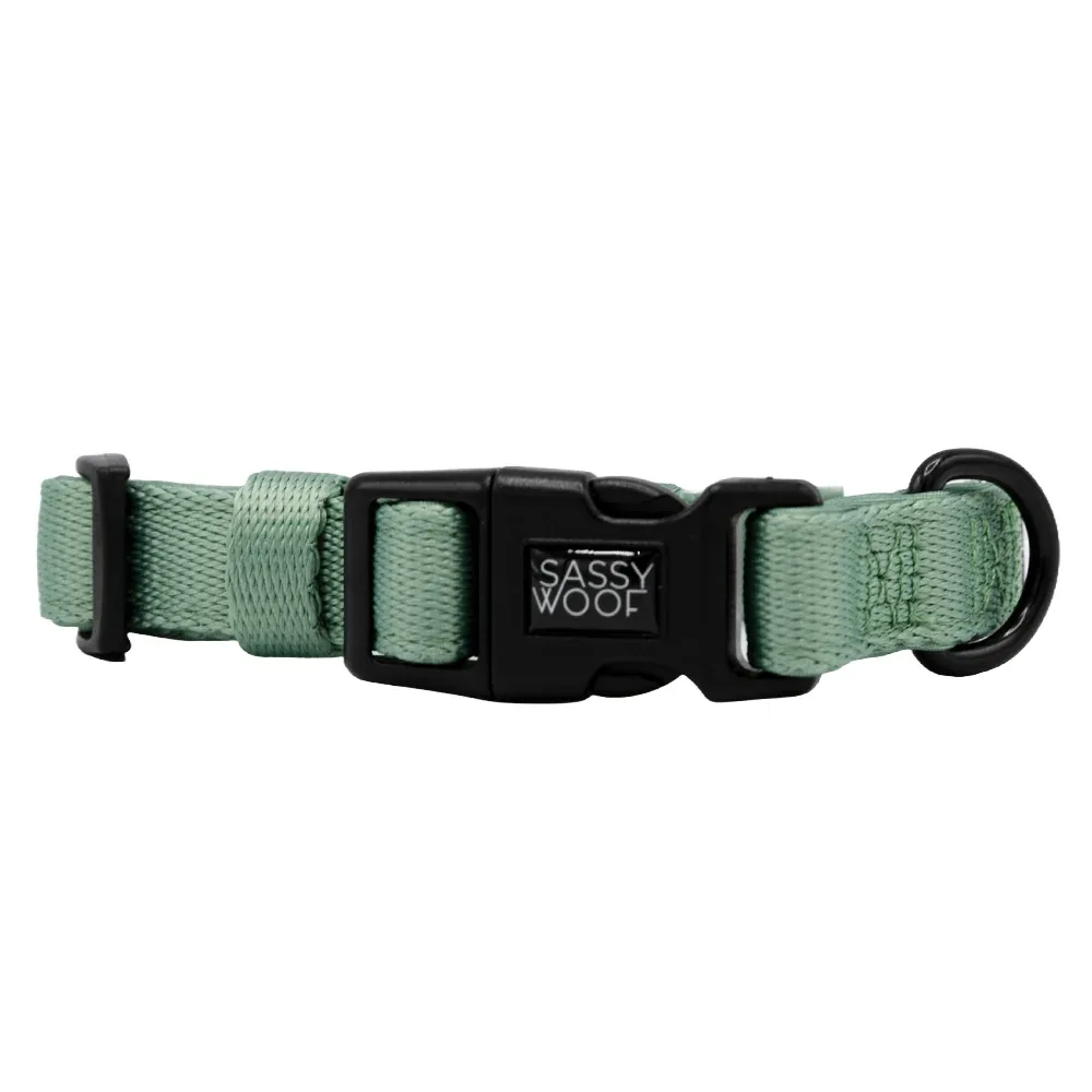 Dog Collar - Sage - Image 2
