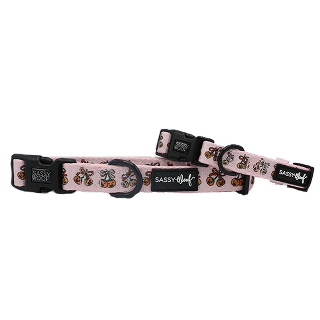 Dog Collar - Sassy Lil Pumpkins