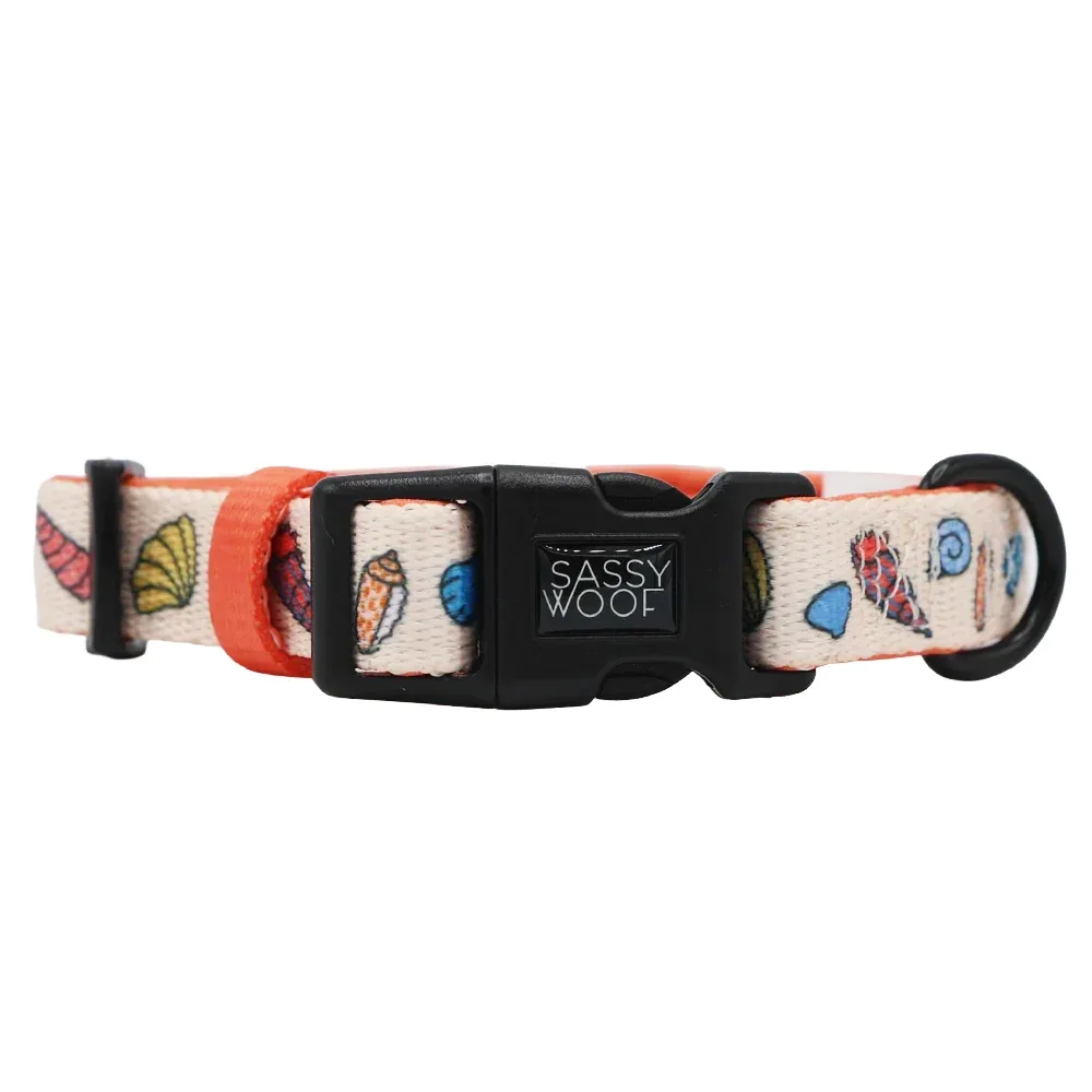 Dog Collar - Shell Yeah - Image 2