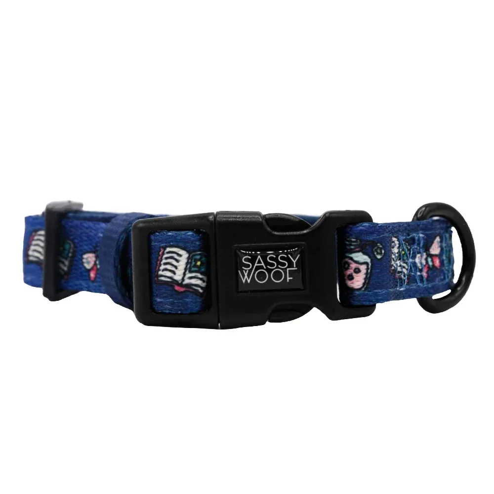 Dog Collar - Spellbound - Image 2