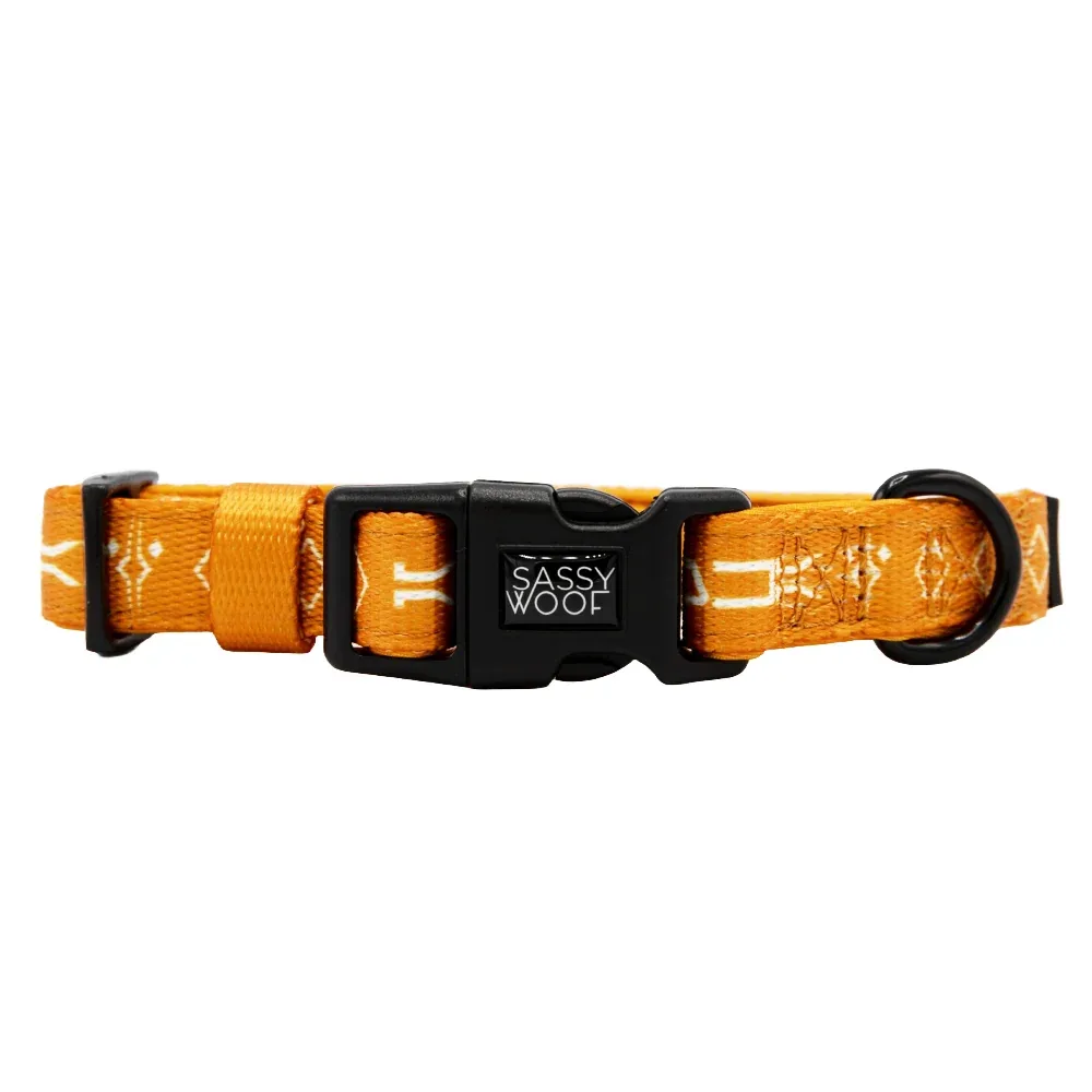 Dog Collar - STAR WARS™ Ahsoka - Image 2