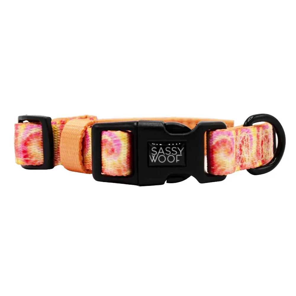 Dog Collar - Summer Sorbet - Image 2