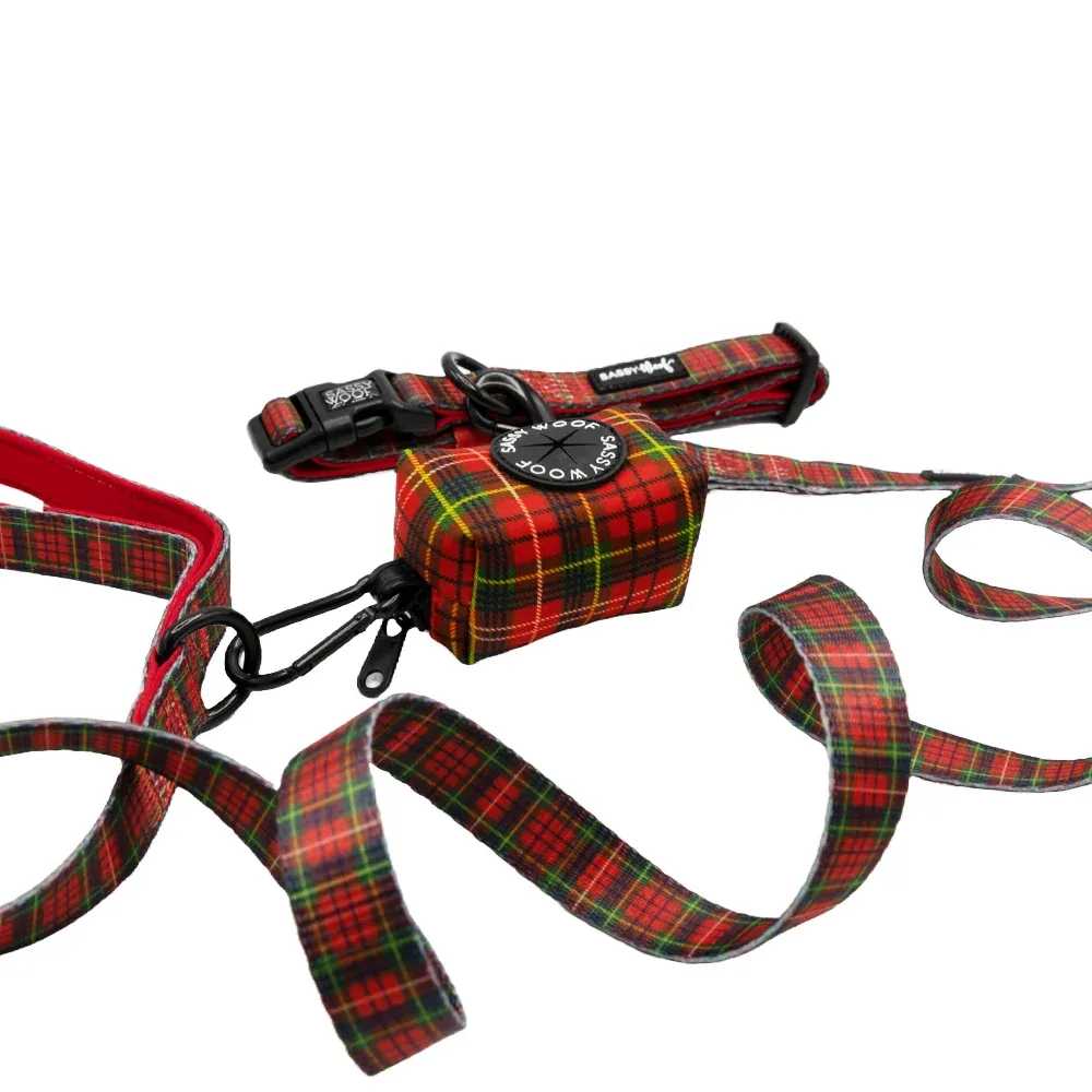 Dog Collar Three Piece Bundle - Deck the Paws - Image 2