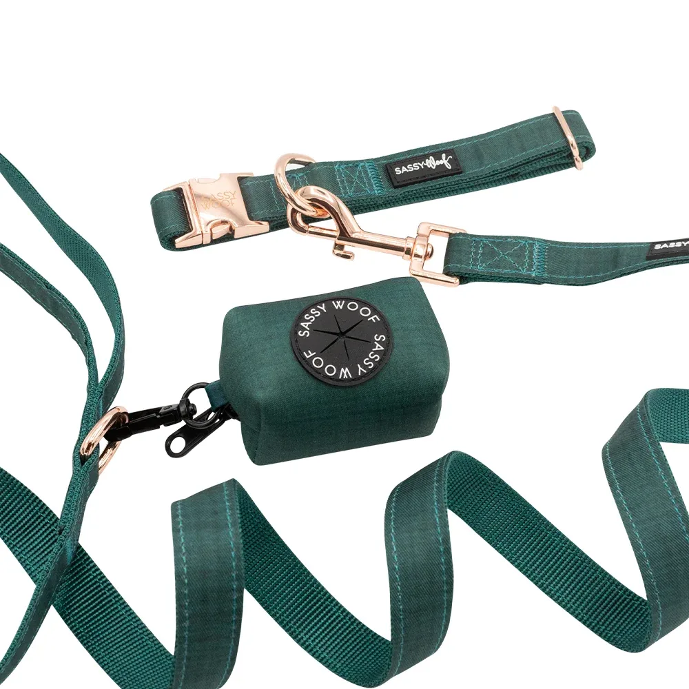Dog Collar Three Piece Bundle - Forest - Image 2