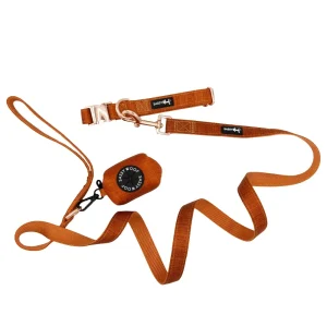 Dog Collar Three Piece Bundle - Foxy