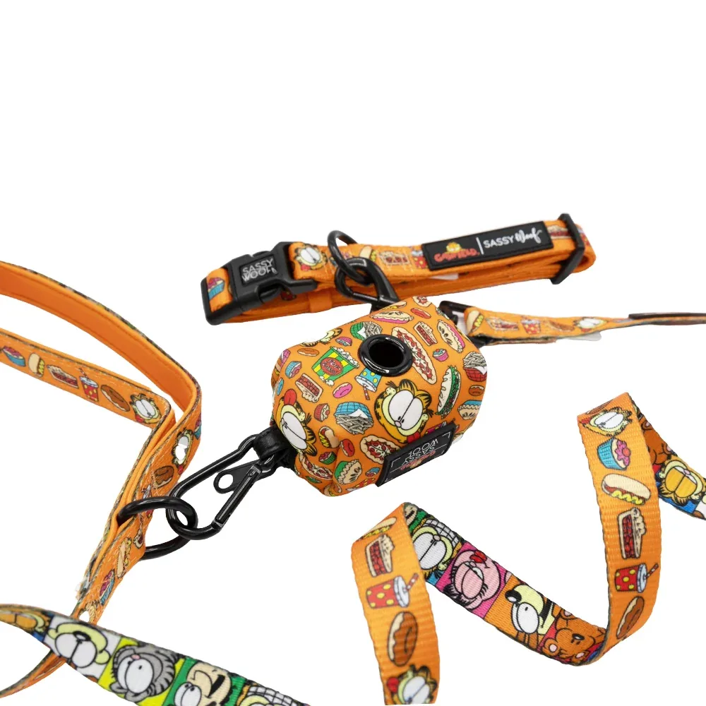 Dog Collar Three Piece Bundle - Garfield™ - Image 2