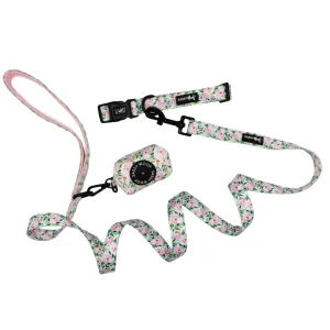 Dog Collar Three Piece Bundle - Magnolia