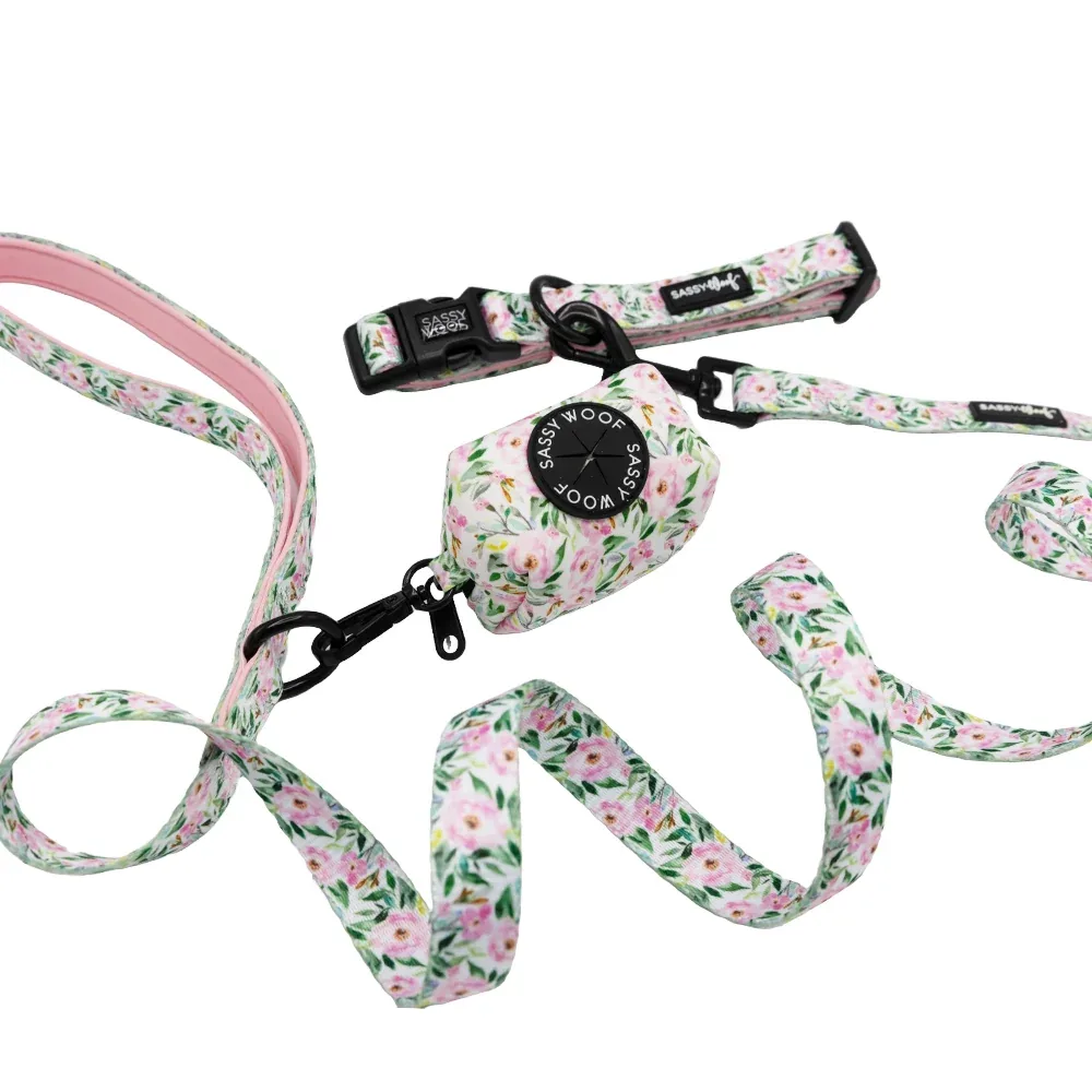 Dog Collar Three Piece Bundle - Magnolia - Image 2