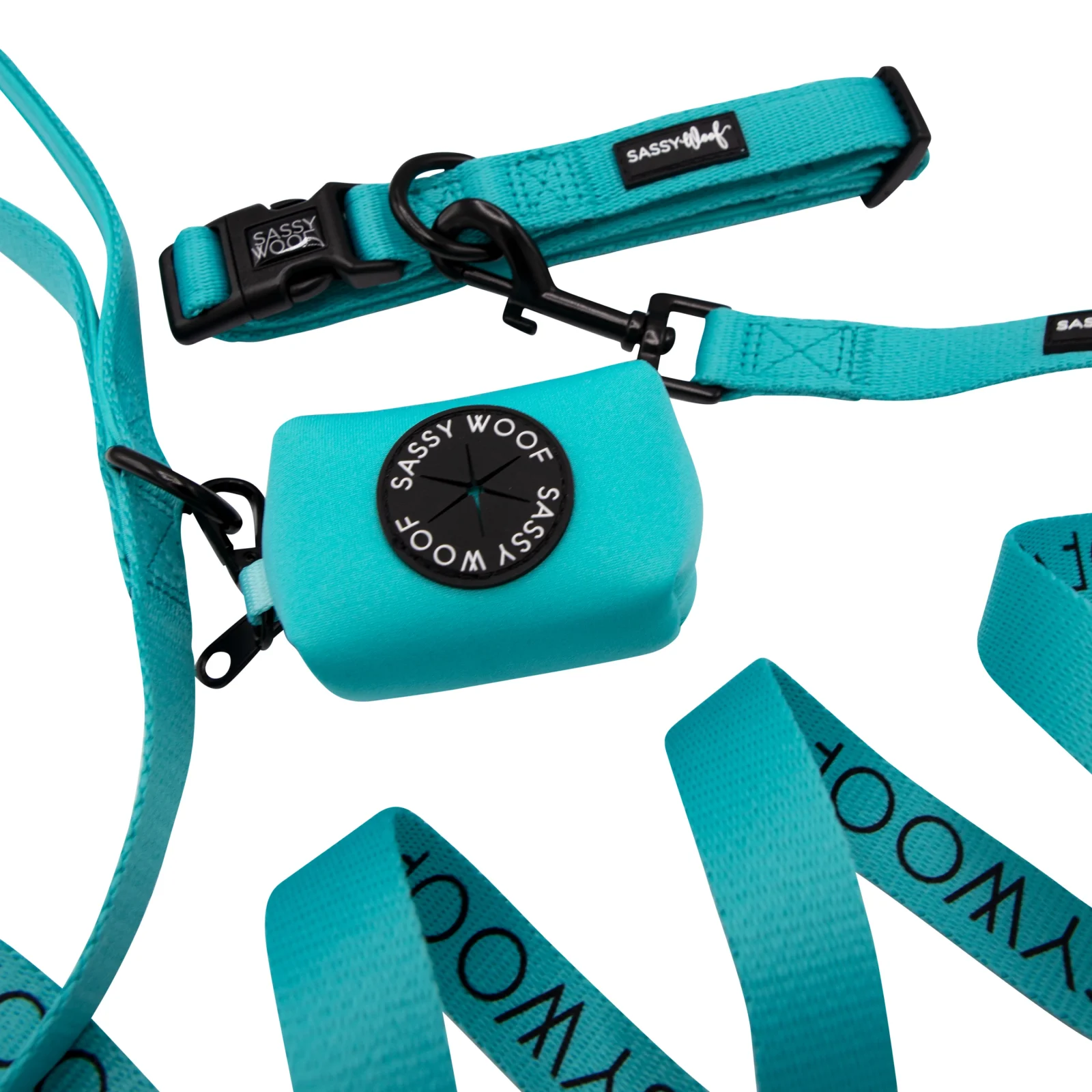 Dog Collar Three Piece Bundle - Neon Blue - Image 2