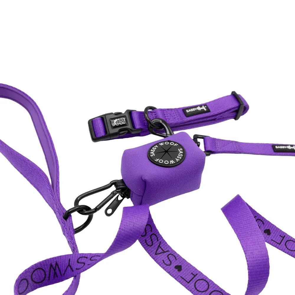 Dog Collar Three Piece Bundle - Neon Purple - Image 2