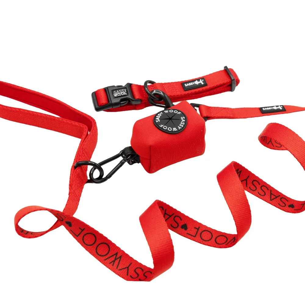 Dog Collar Three Piece Bundle - Neon Red - Image 2
