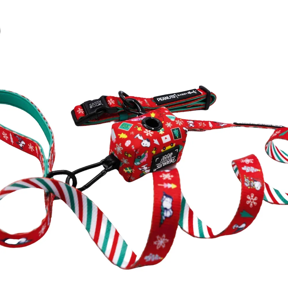 Dog Collar Three Piece Bundle - Peanuts™ Beagle Bells - Image 2