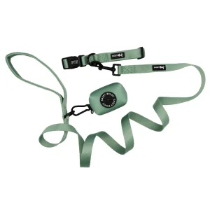 Dog Collar Three Piece Bundle - Sage