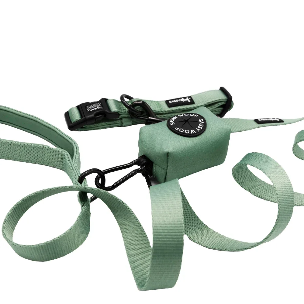 Dog Collar Three Piece Bundle - Sage - Image 2
