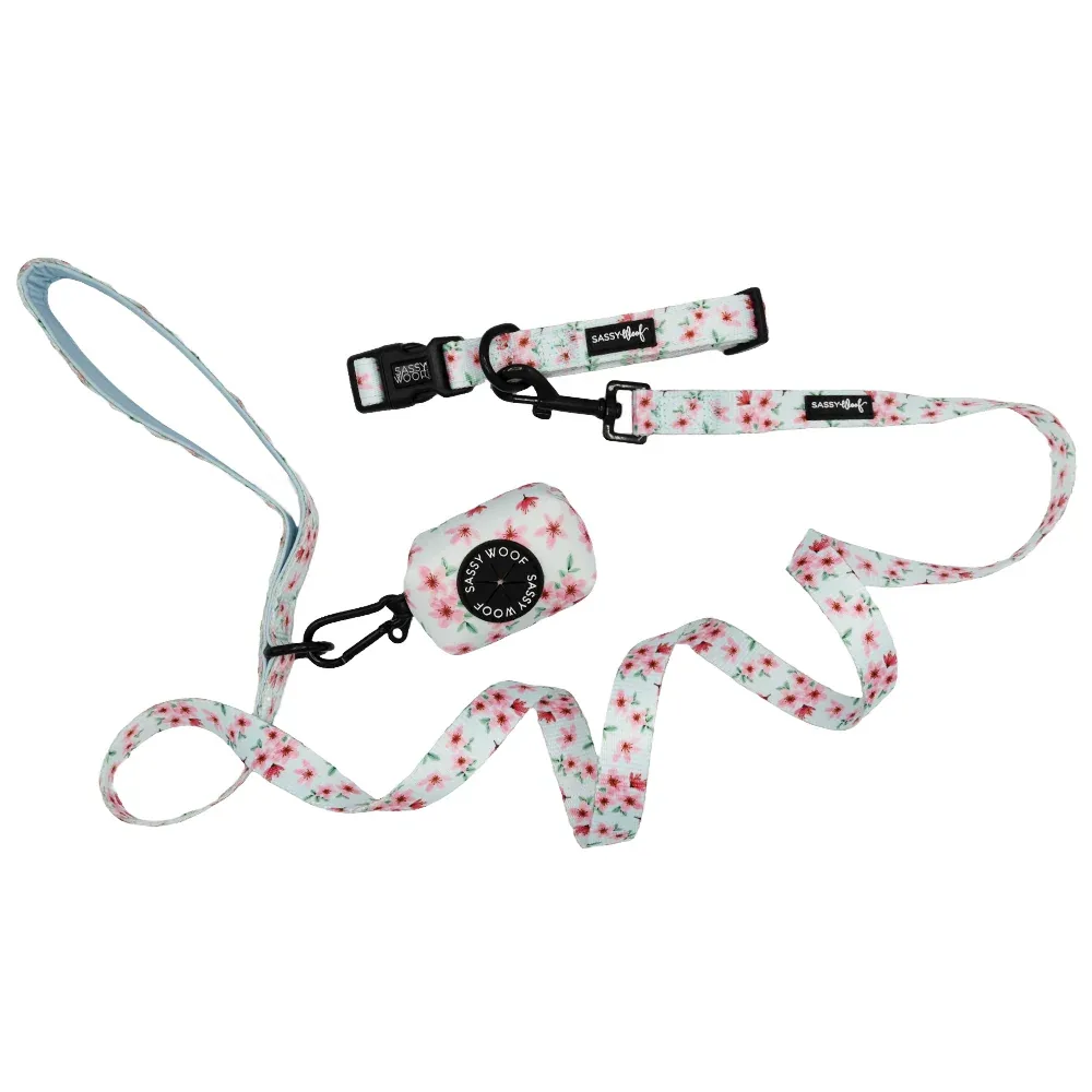 Dog Collar Three Piece Bundle - Sakura