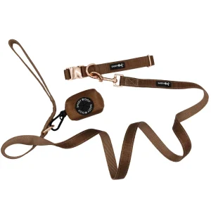 Dog Collar Three Piece Bundle - Teddy
