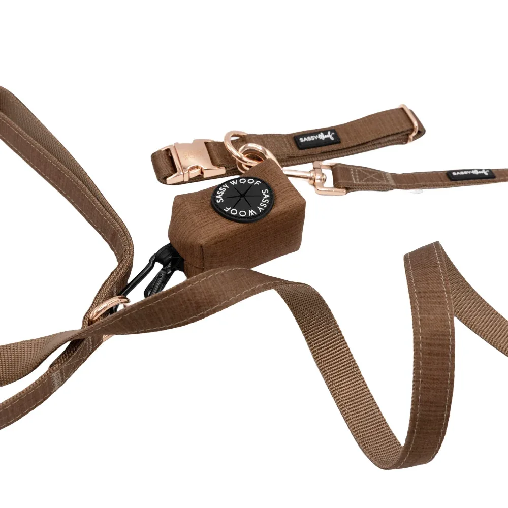 Dog Collar Three Piece Bundle - Teddy - Image 2