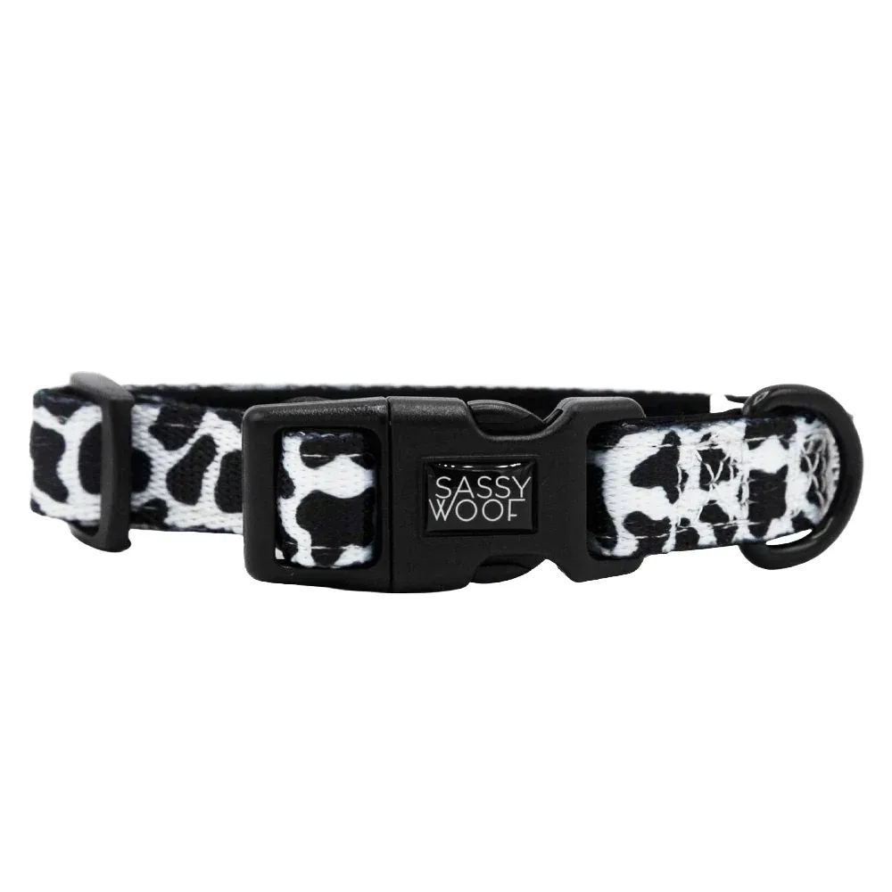 Dog Collar - Whole Milk - Image 2