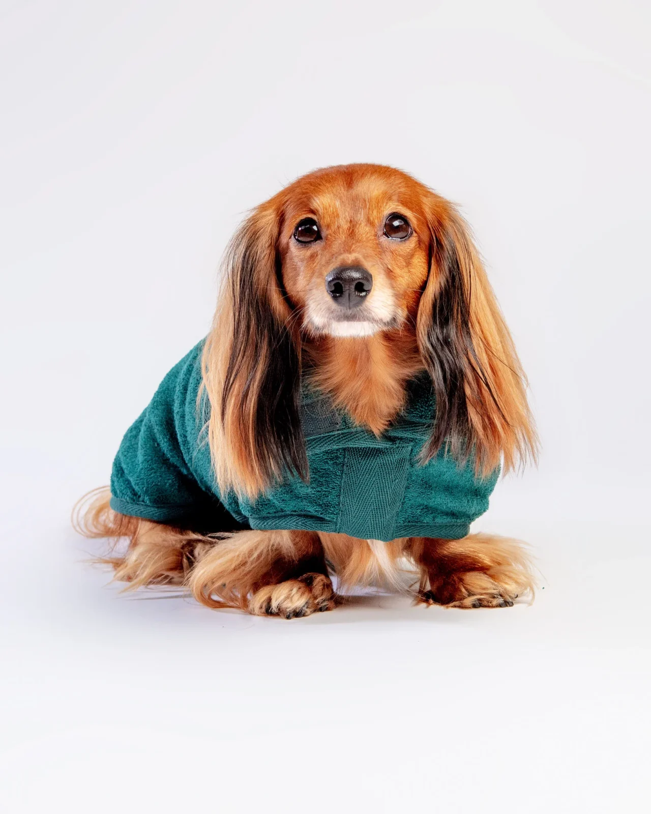 Dog Drying Coat in Bottle Green (Made in the UK) (CLEARANCE) - Image 2