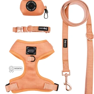 Dog Four Piece Bundle - Apple Cider