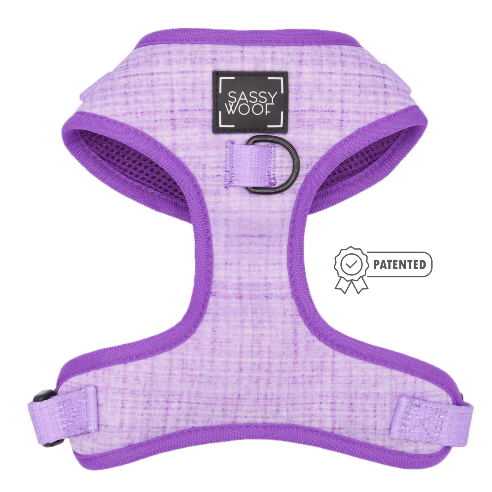 Dog Four Piece Bundle - Aurora - Image 2