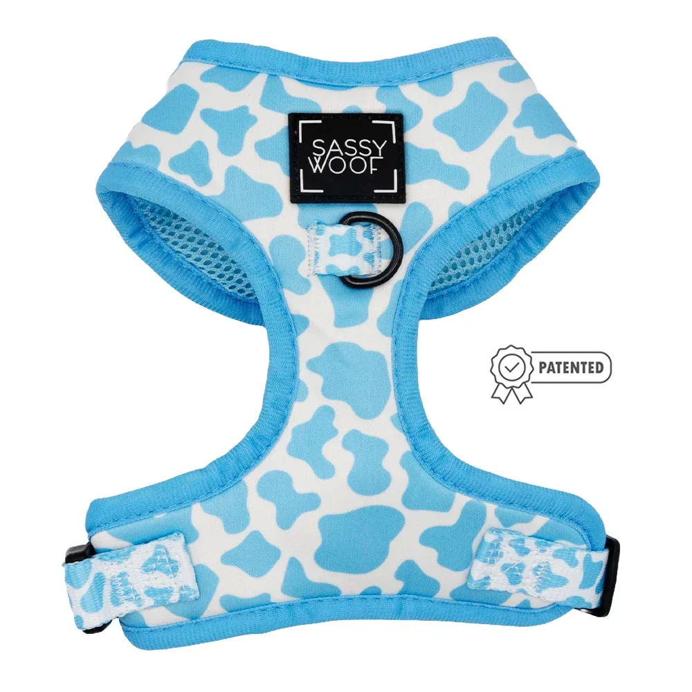Dog Four Piece Bundle - Blueberry Milk - Image 2