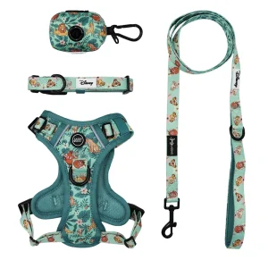 Dog Four Piece Bundle - Disney's The Lion King Wild Kingdom