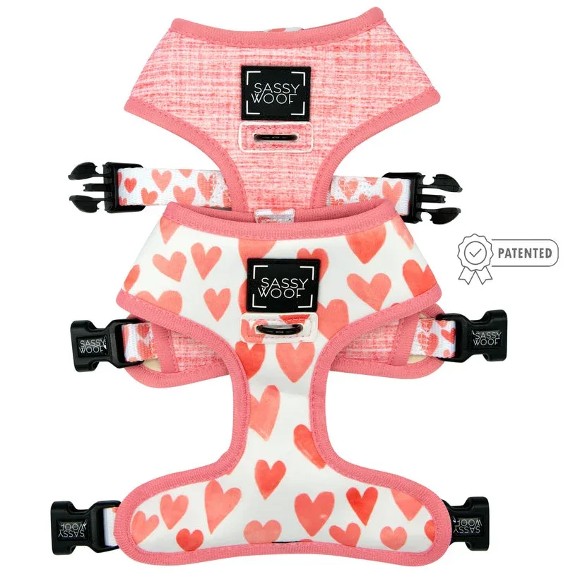 Dog Four Piece Bundle - Dolce Rose - Image 2