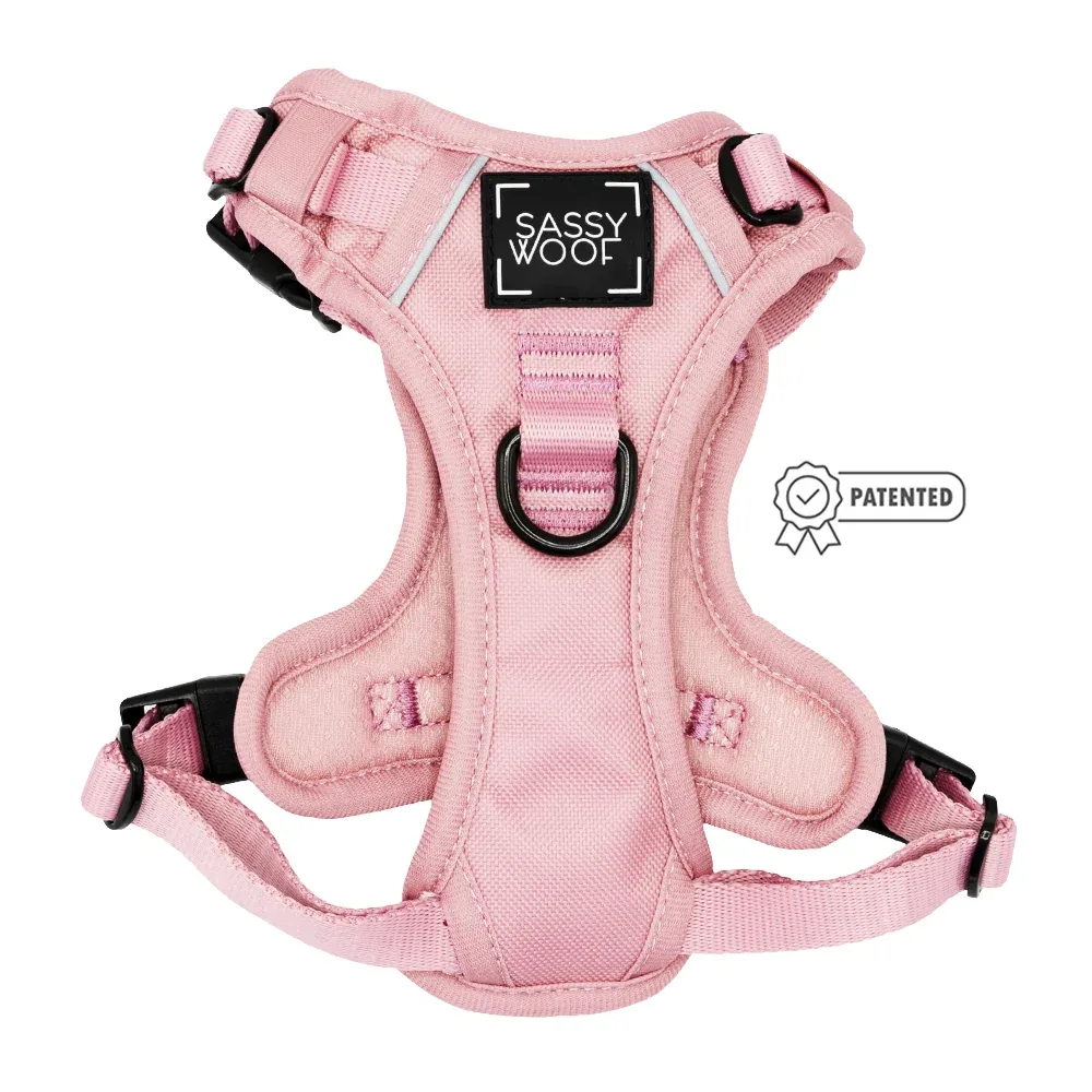 Dog Four Piece Bundle - Dusty Rose - Image 2