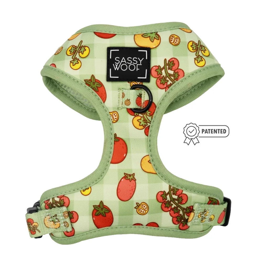 Dog Four Piece Bundle - Feeling Vine - Image 2
