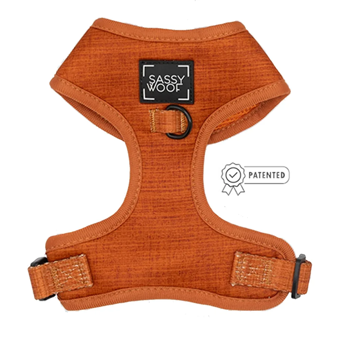 Dog Four Piece Bundle - Foxy - Image 2