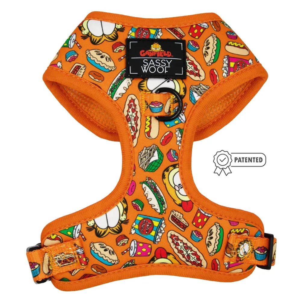 Dog Four Piece Bundle - Garfield™ - Image 2