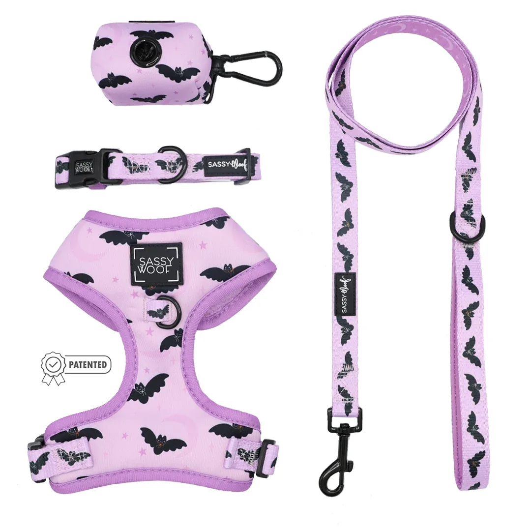 Dog Four Piece Bundle - Lil Batty