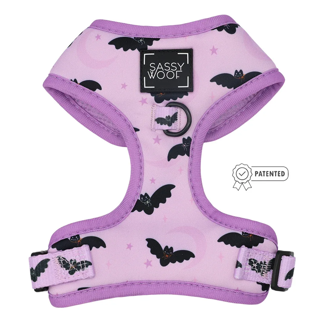 Dog Four Piece Bundle - Lil Batty - Image 2