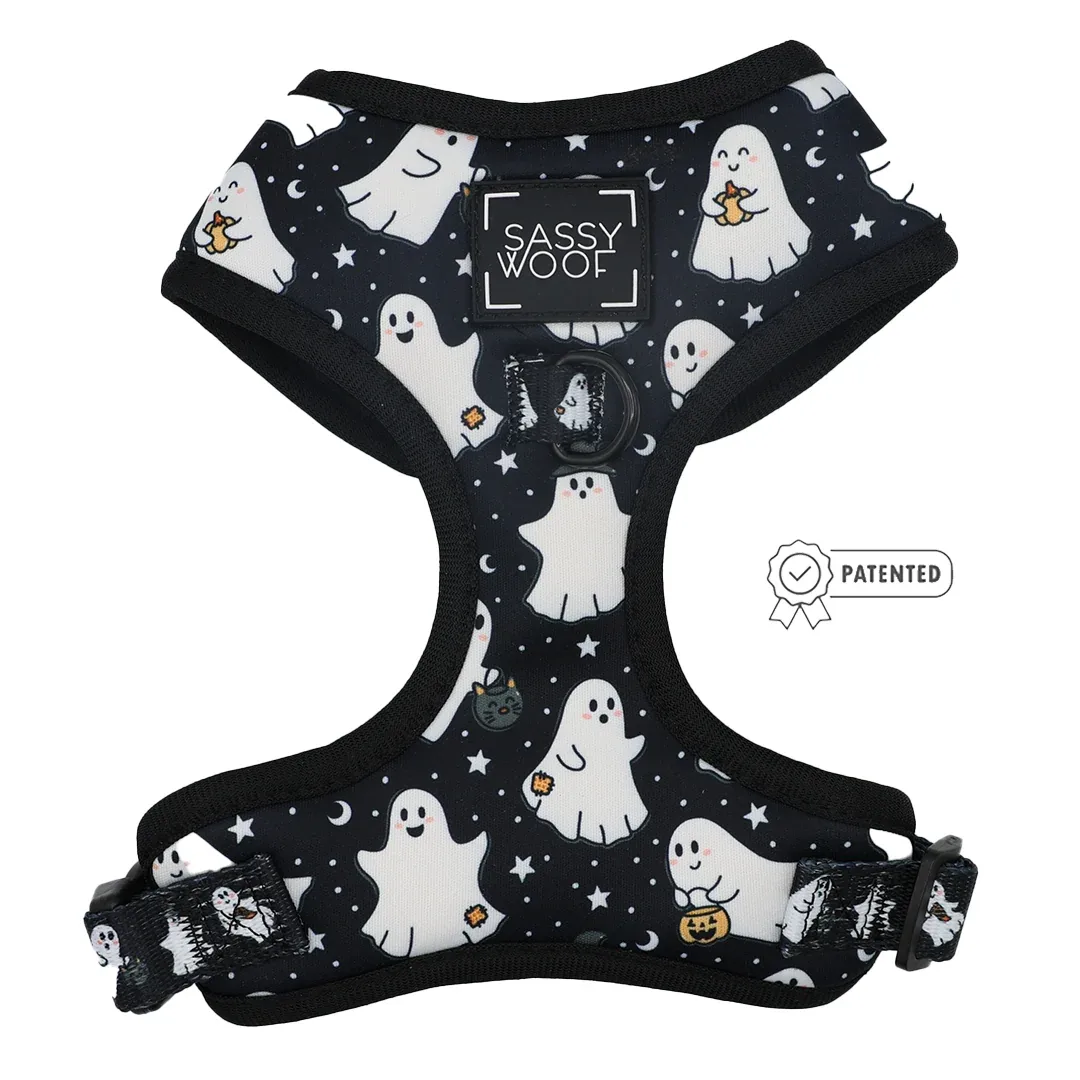 Dog Four Piece Bundle - Lil Boo Thing - Image 2