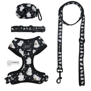 Dog Four Piece Bundle - Lil Boo Thing