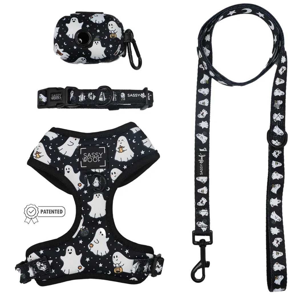 Dog Four Piece Bundle - Lil Boo Thing
