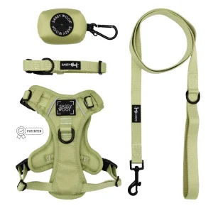 Dog Four Piece Bundle - Matcha