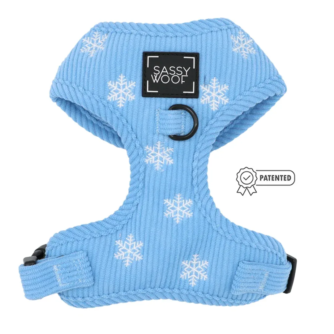 Dog Four Piece Bundle - Morning Frost - Image 2