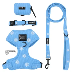 Dog Four Piece Bundle - Morning Frost