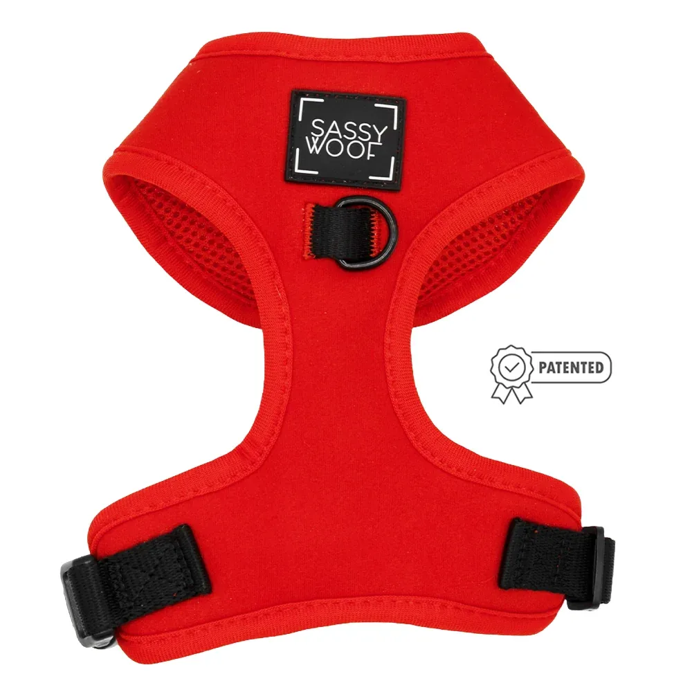 Dog Four Piece Bundle - Neon Red - Image 2