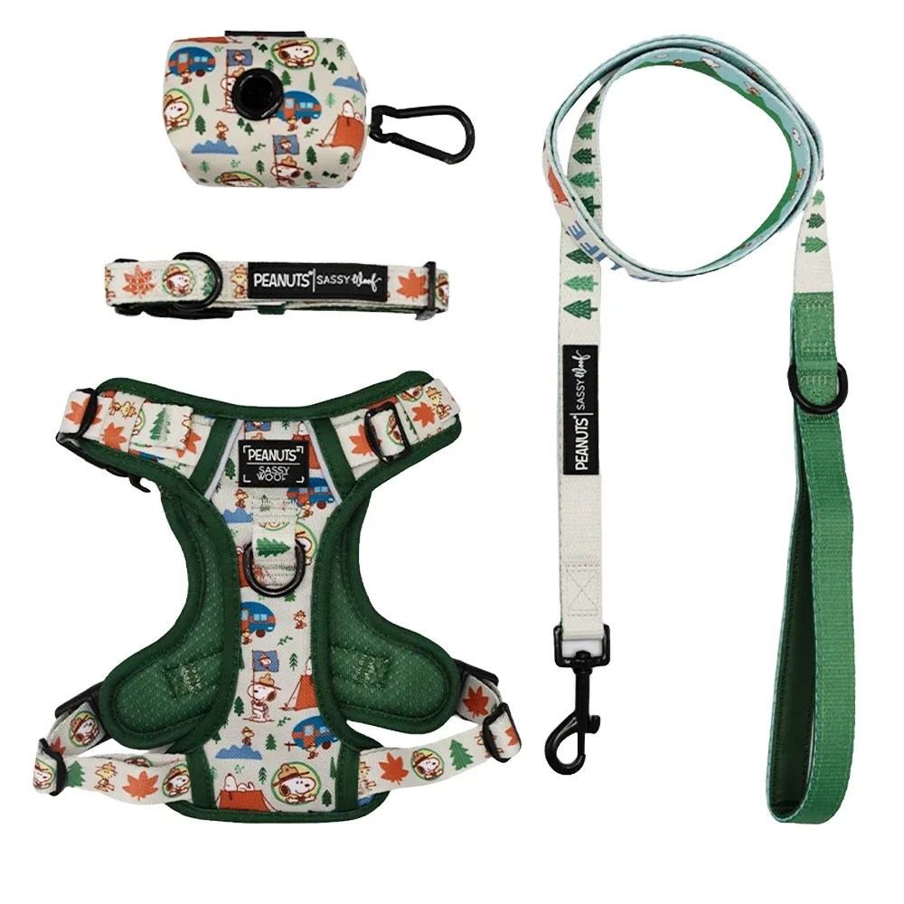 Dog Four Piece Bundle - Peanuts™ Beagle Scouts