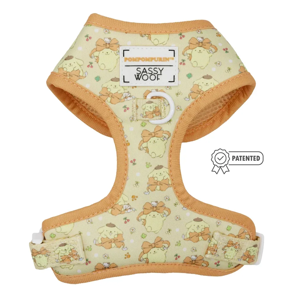 Dog Four Piece Bundle - Pompompurin™ - Image 2