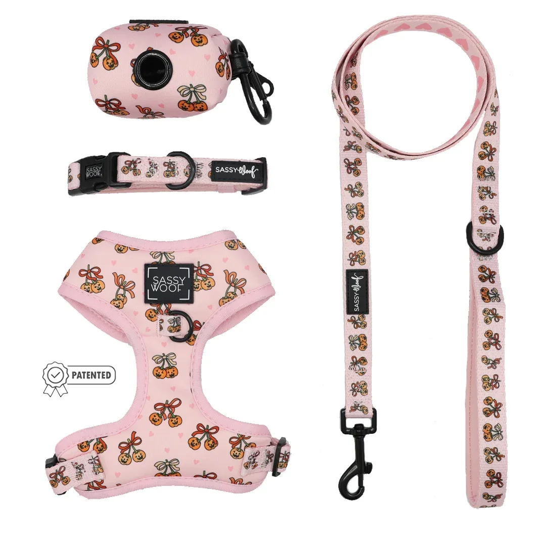 Dog Four Piece Bundle - Sassy Lil Pumpkins