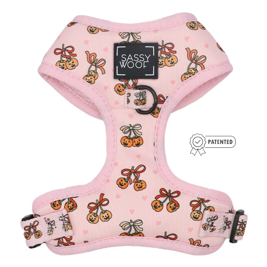 Dog Four Piece Bundle - Sassy Lil Pumpkins - Image 2