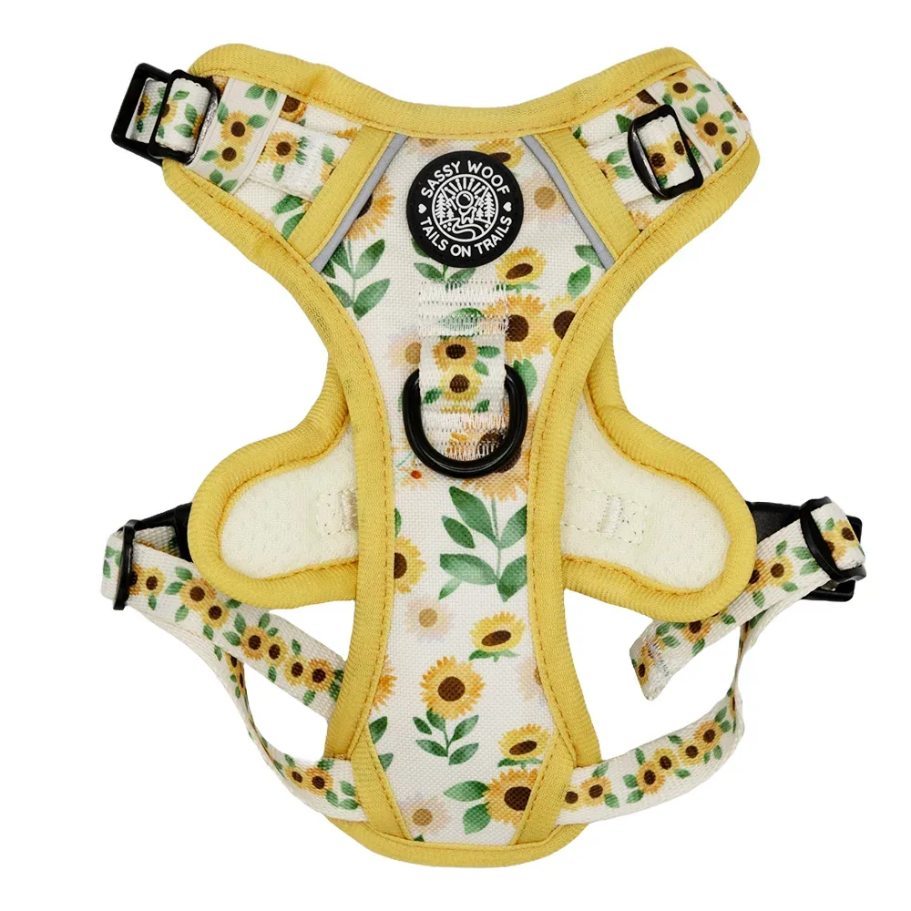 Dog Four Piece Bundle - Sunflower Dreams - Image 2
