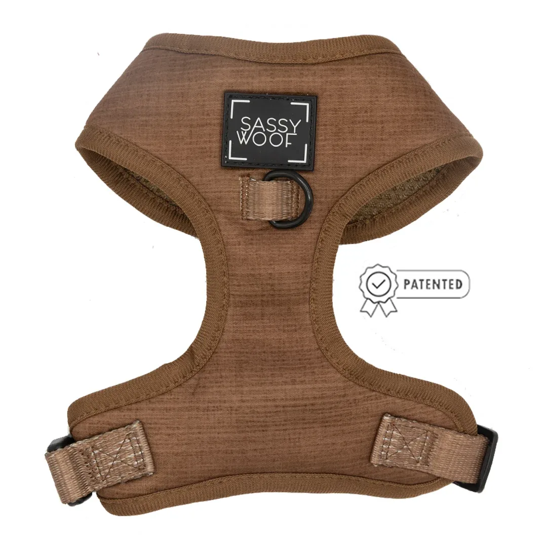Dog Four Piece Bundle - Teddy - Image 2