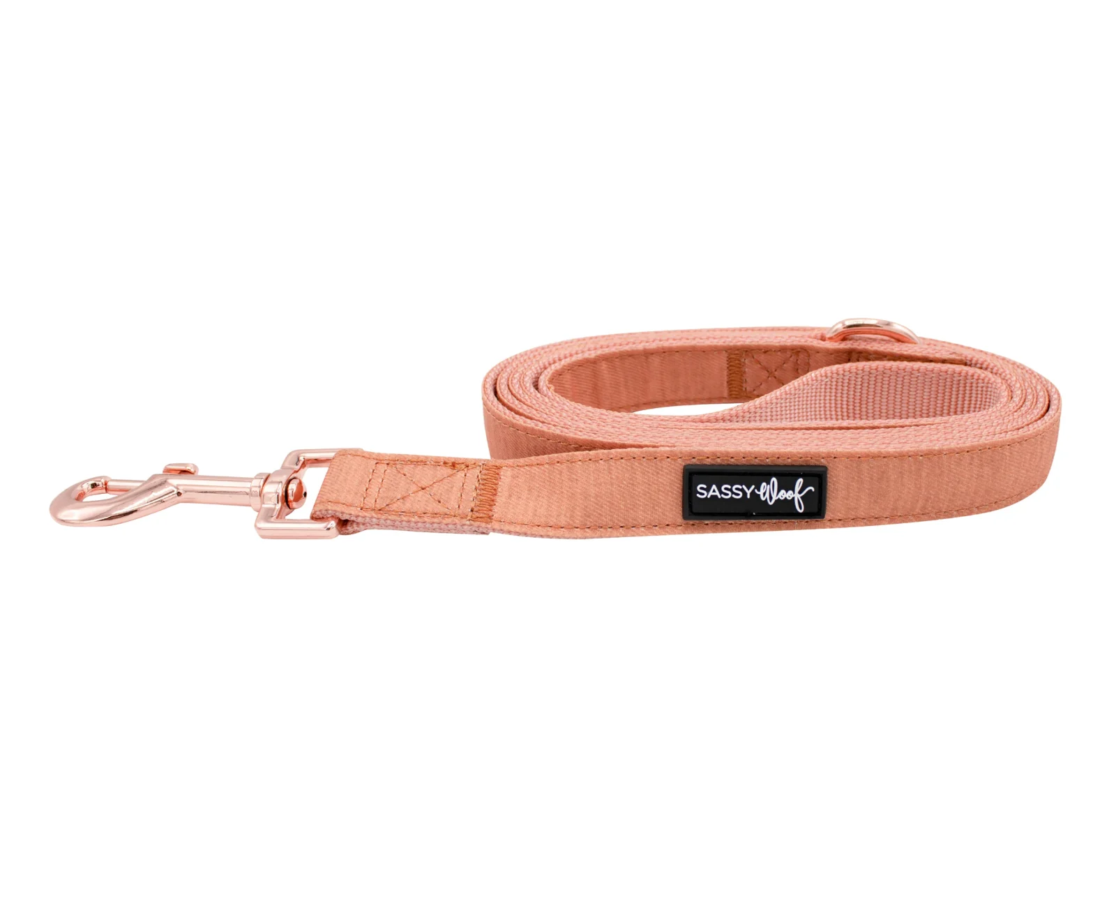 Dog Leash - Apple Cider - Image 2
