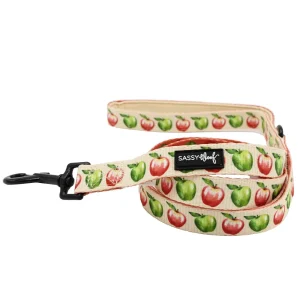Dog Leash - Apple of My Eye