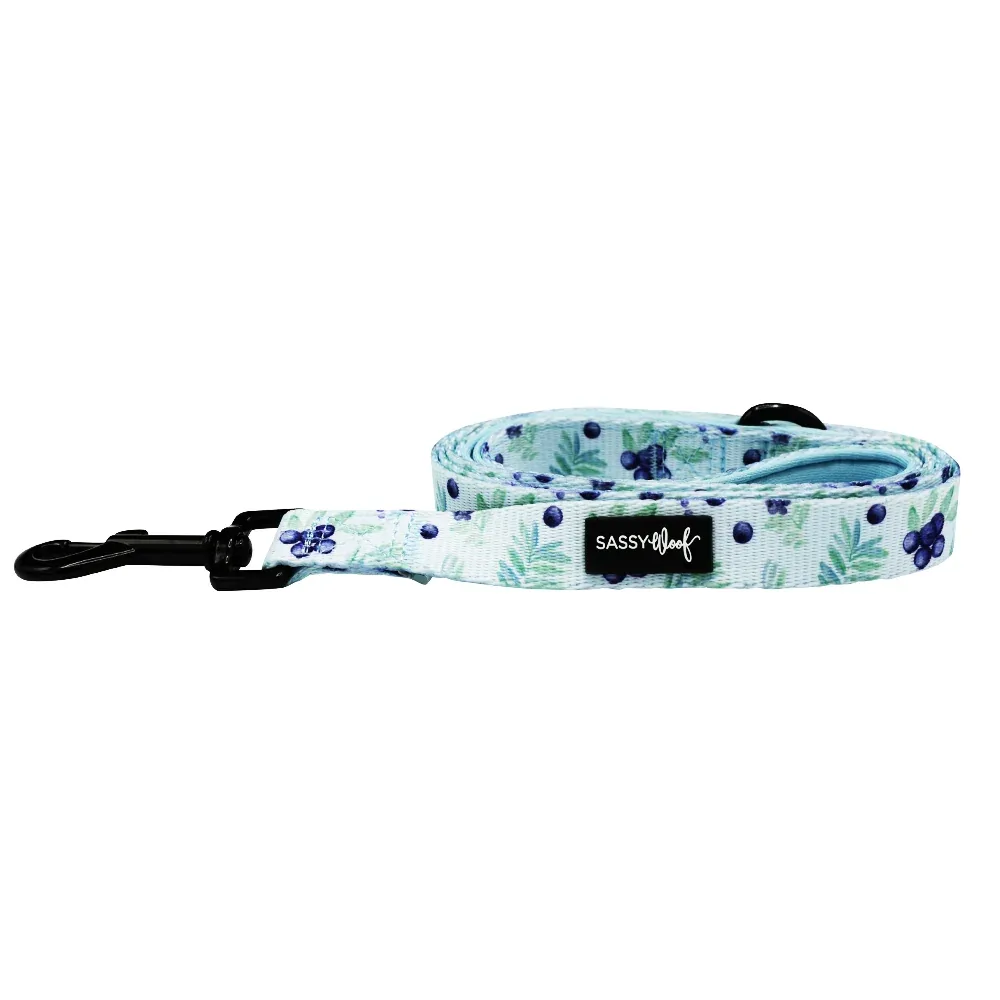 Dog Leash - Berry Sassy - Image 2